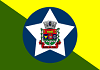 bandeira-barradopirai-100